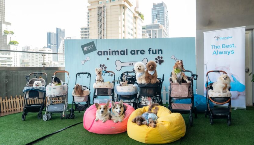 ชวนคนรักน้องหมาอิ่มอร่อยกับ Sunday Brunch & Bark ใจกลางสุขุมวิท พร้อมบุฟเฟต์สำหรับเพื่อนซี้สี่ขา